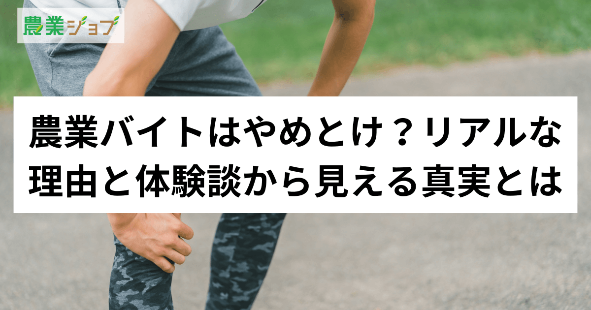 農業バイトはやめとけ？きついと言われる理由と体験談から見える真実とは
